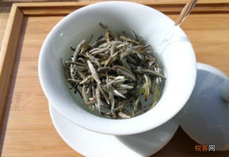 白茶产地在哪个省 白茶产地在哪个省最好