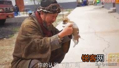 在你心目中,哪些网剧超越电视剧？