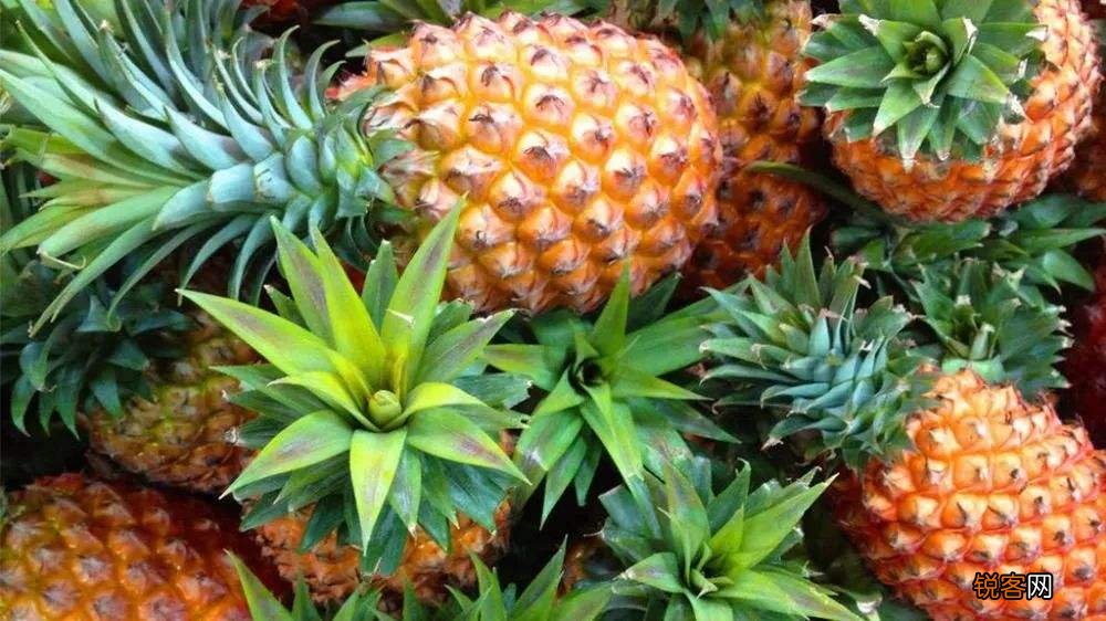 菠萝怎么削皮简单又不浪费 教你3个小方法轻松搞定