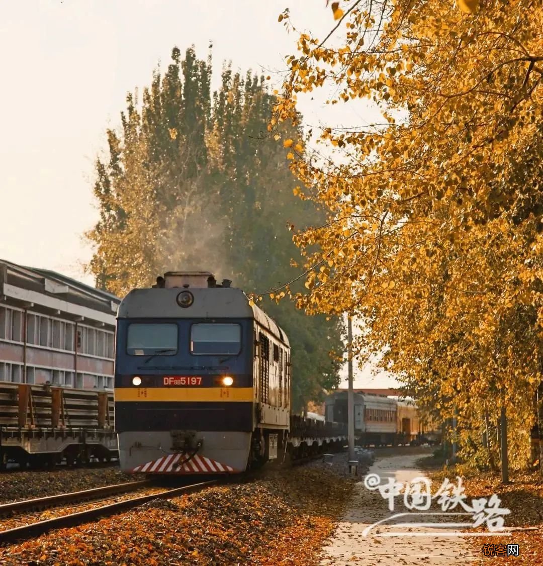 “穿越秋天”的火车，这趟火车火了！
