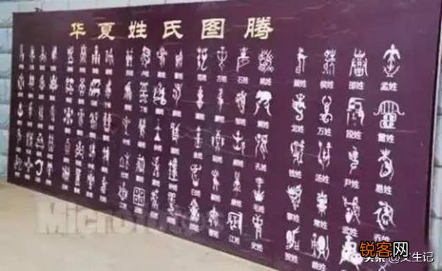 请问,您遇到过哪些比较好笑、深思、奇葩,或者不可思议的姓氏？