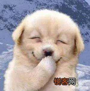 你都见过什么奇葩、搞笑的名字？