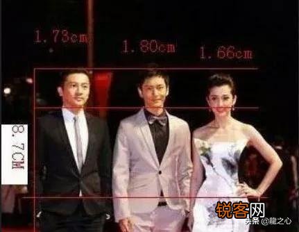 黄晓明到底多高？