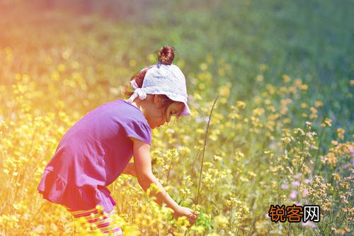 花卉养护知识 保鲜小技巧