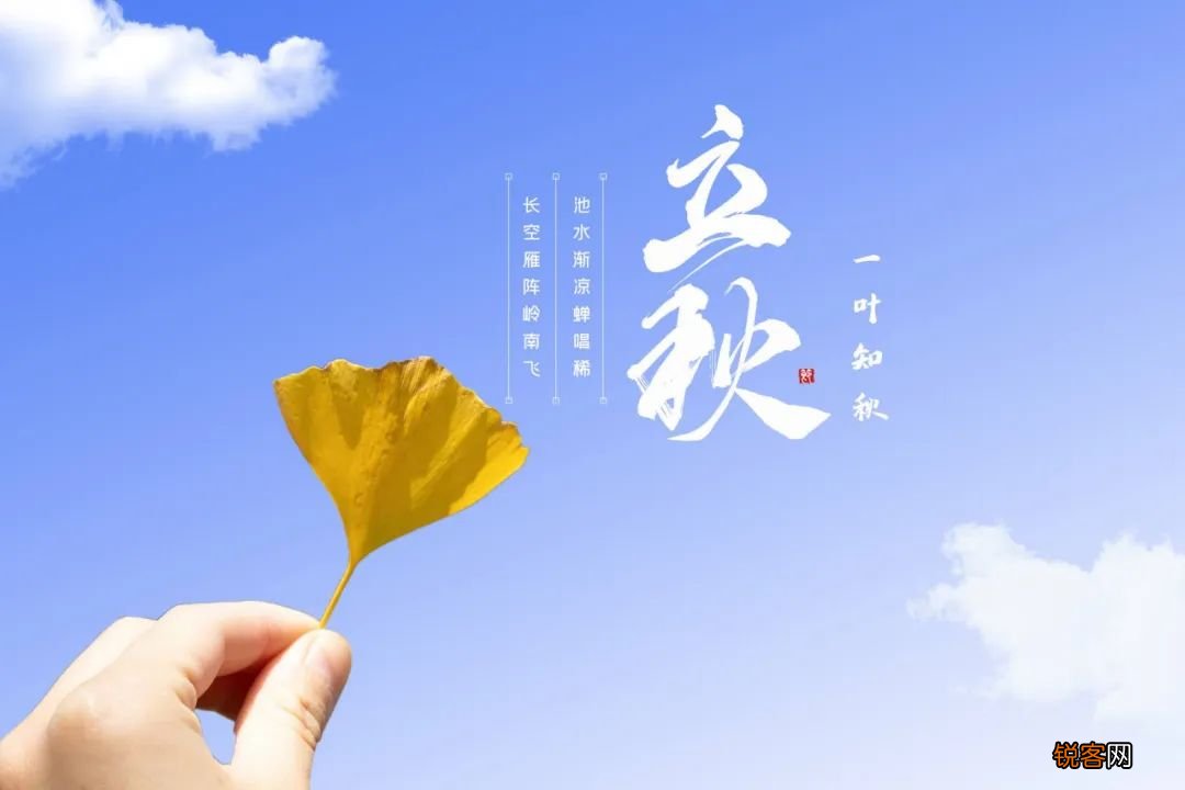 十首立秋的诗词 忽然梧叶落庭中