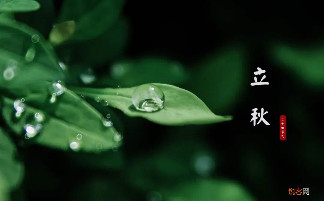 十首立秋的诗词 忽然梧叶落庭中