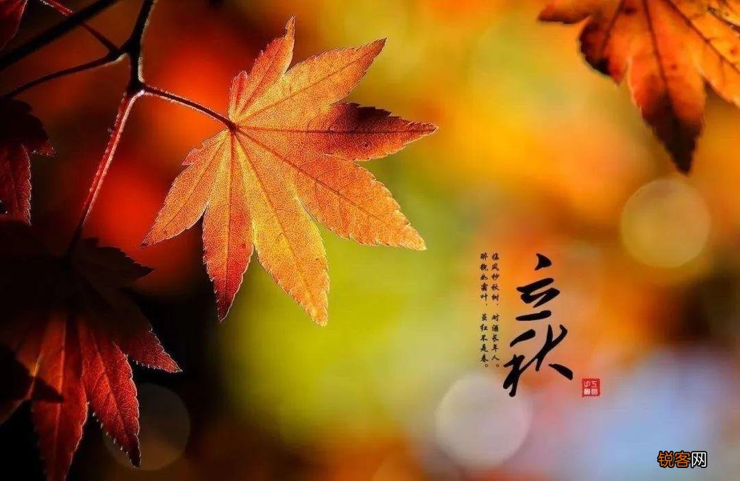 十首立秋的诗词 忽然梧叶落庭中