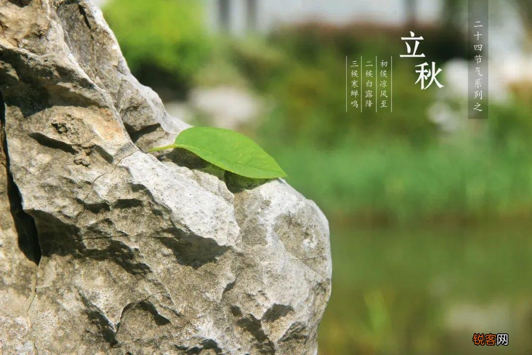 十首立秋的诗词 忽然梧叶落庭中