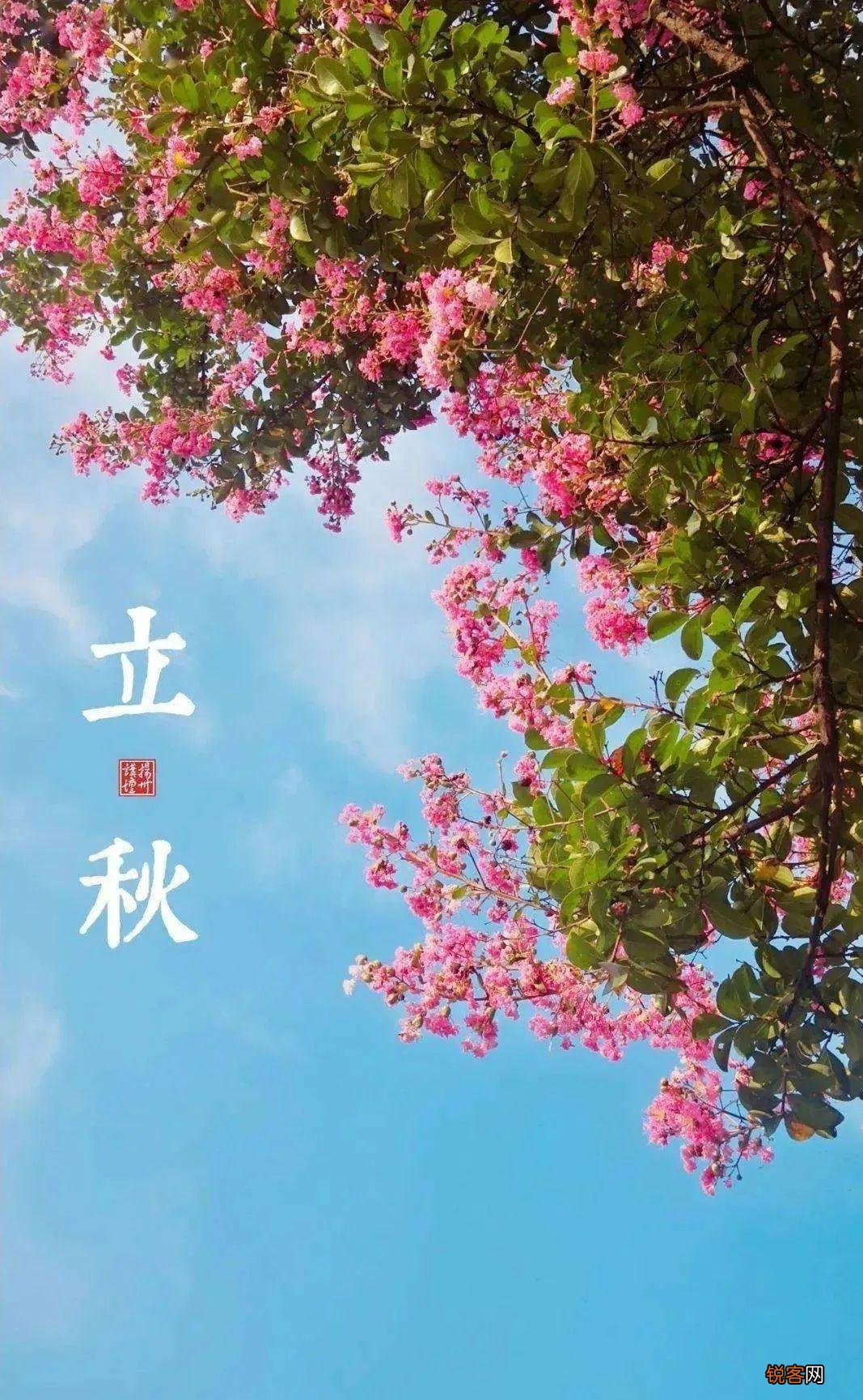 十首立秋的诗词 忽然梧叶落庭中