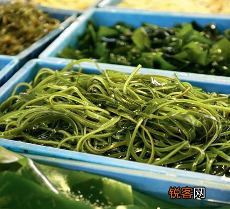 九种保护**食物