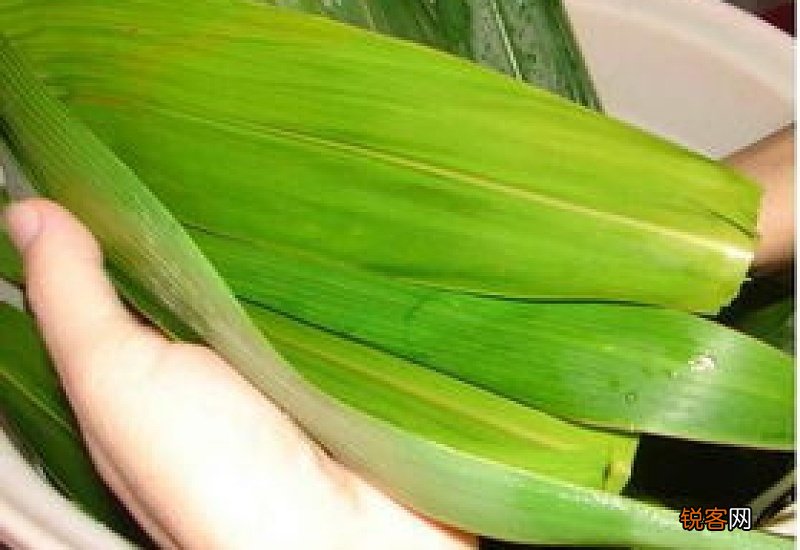 粽叶怎么处理才好用