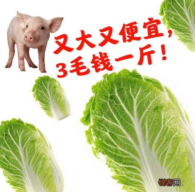 你有哪些逢人就推荐的护肤品？