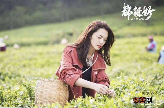 安迪是财务总监,唐晶是咨询顾问,明玉是销售总监,那么问题来了,她们谁更有钱？