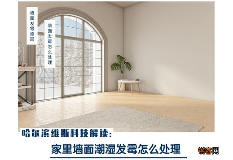 家里墙纸发霉墙壁发霉怎么处理