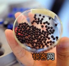 丹参片和丹参滴丸之比较