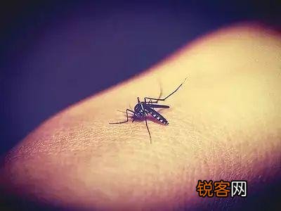 卫生健康小知识 超实用健康小知识