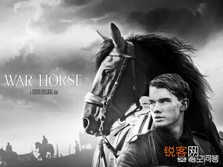 有什么好看的搏击和战争电影可以推荐吗？