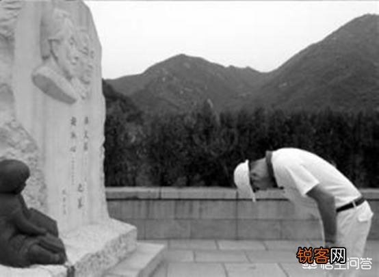 冰心离世后, 其孙子为何会在其墓碑上刻上“教子无方, 枉为人表”？