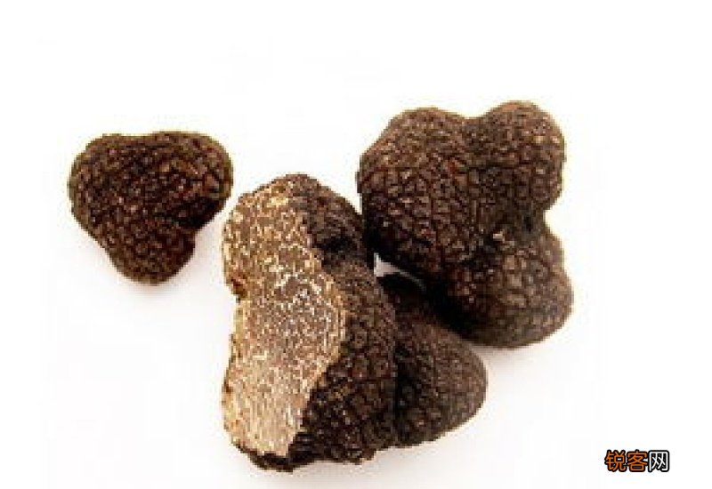 松露有什么功效作用 松露的功效作用有哪些