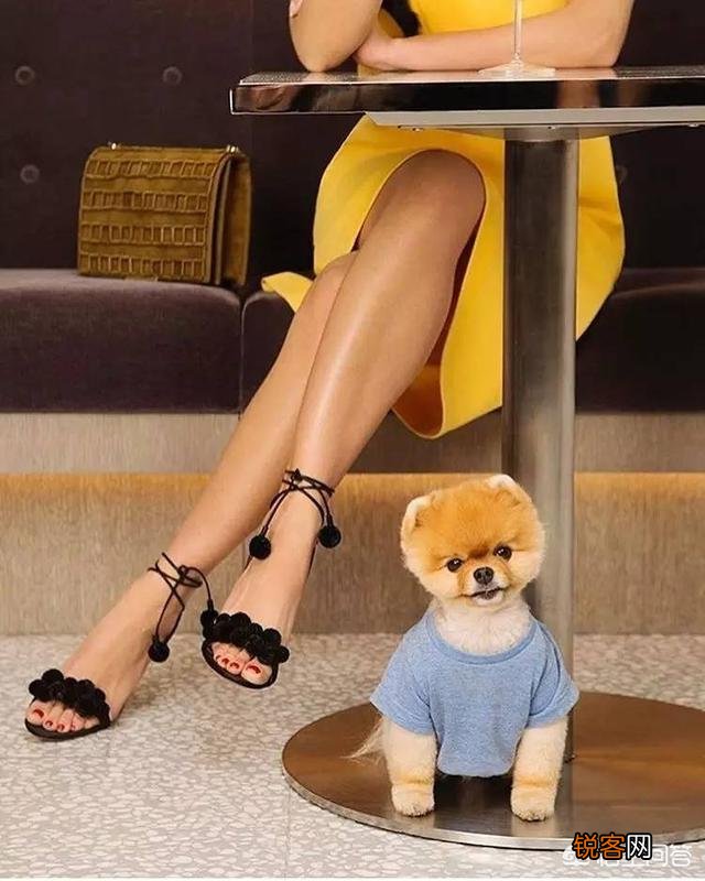 女鞋哪个牌子的受欢迎？