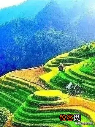 “一个人的成功,除了天赋努力,离不开贵人的提携。”有道理吗？