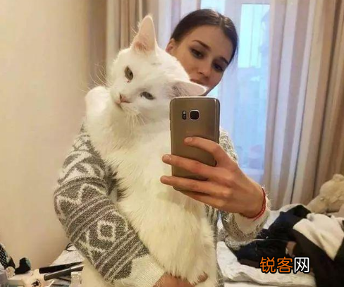 养猫对人的巨大危害 这7个“后果”会伴随你