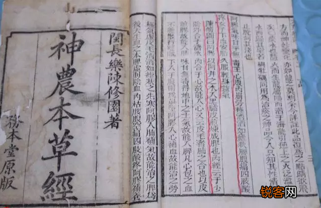 中国传统医学四大经典著作 传统四部医典
