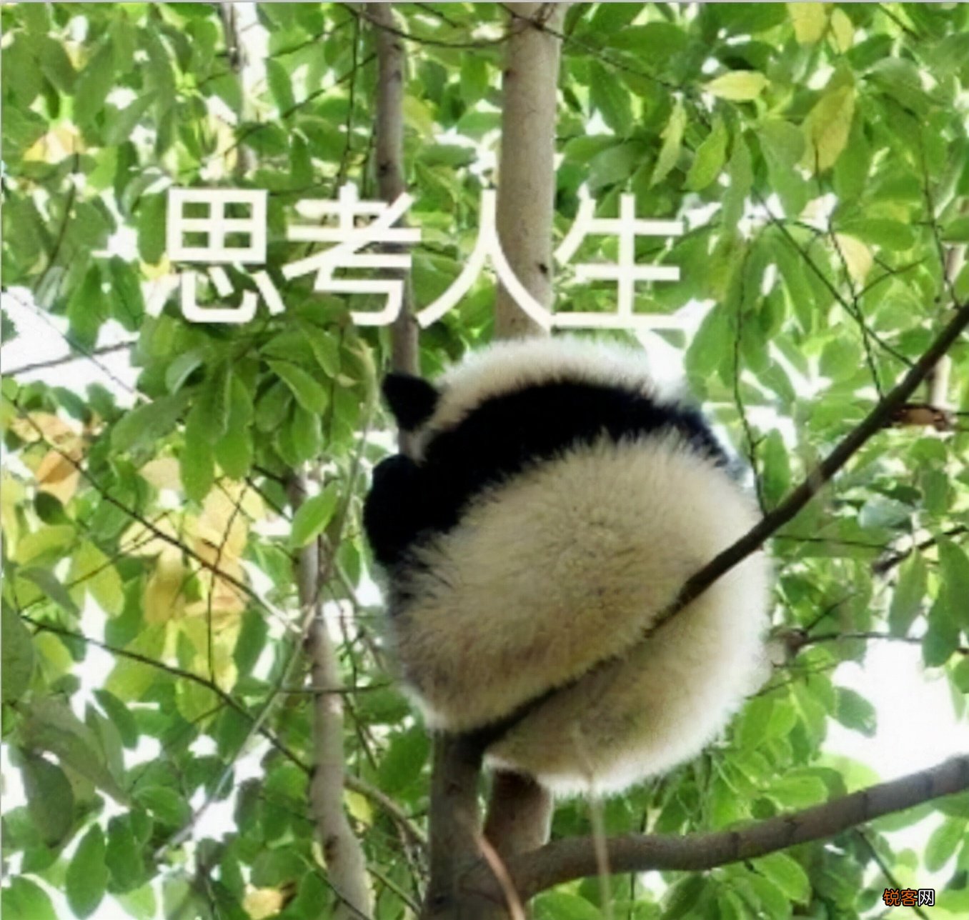 LOL手游中怎么玩好打野？ 一篇文章教会你