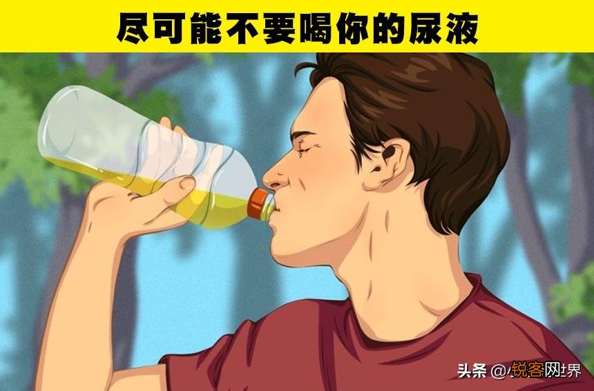 野外求生技巧 野外生存必备技能