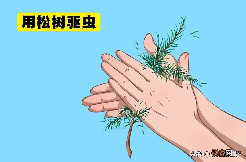野外求生技巧 野外生存必备技能