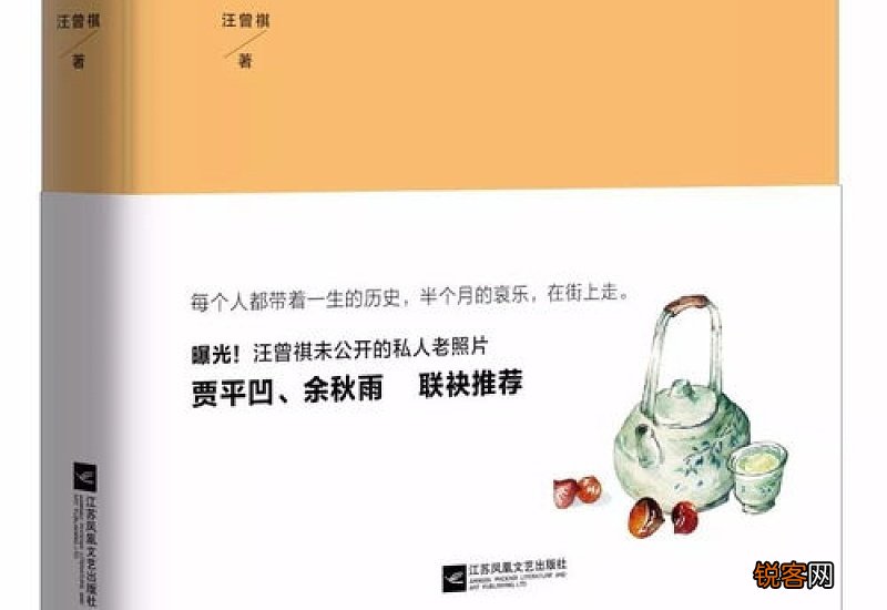 安辑保守是什么意思