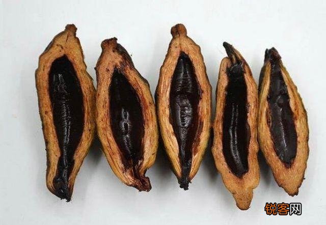长期嚼槟榔的危害有多大 为什么还有那么多人爱嚼