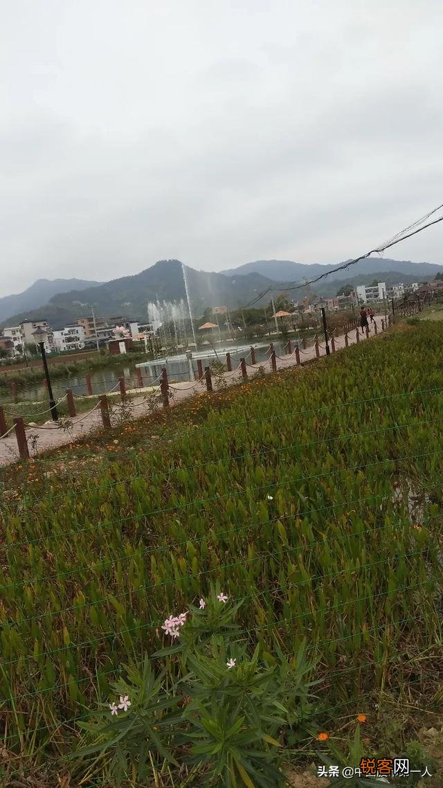 你能说出中国境内100%稳赚不赔的行业吗？