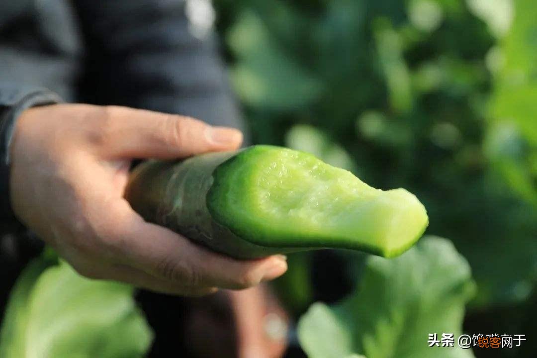 过年送礼送什么好 把礼送到对方心里