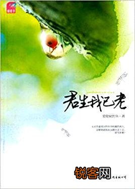 有什么好看的姐弟恋小说？