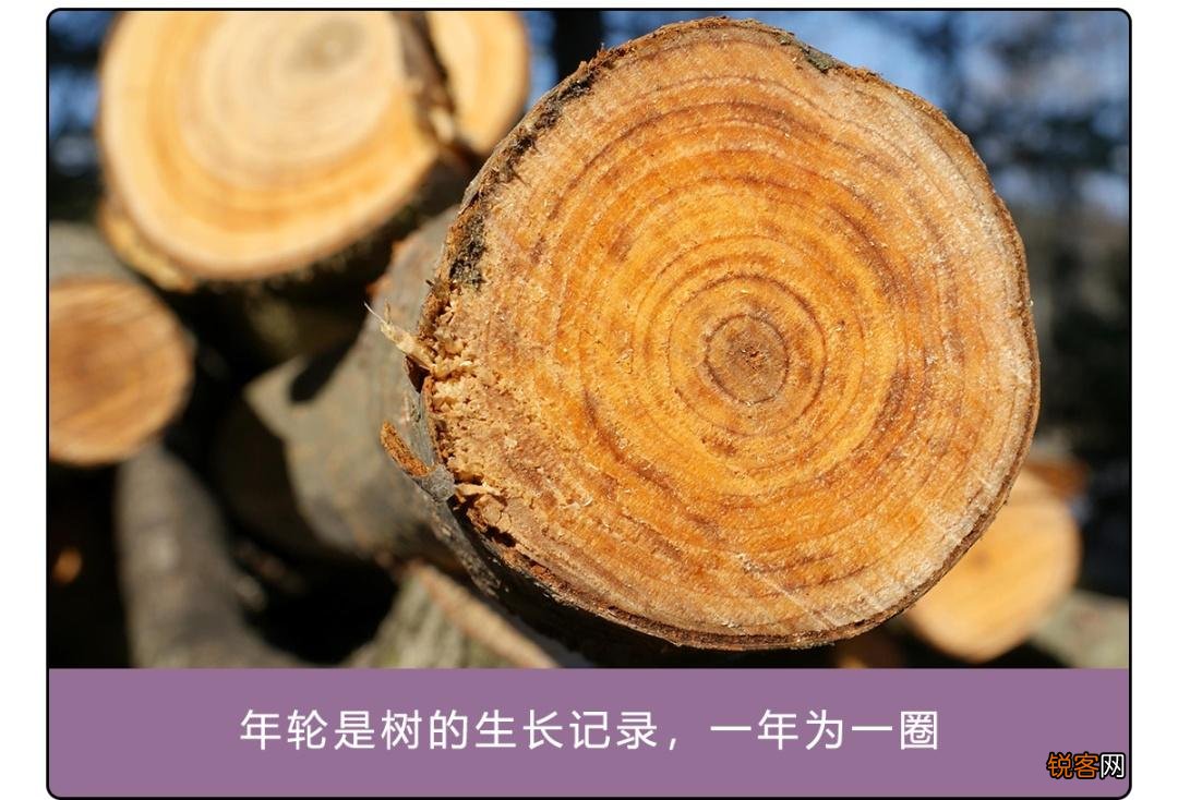 辨别方向的方法 路痴必看