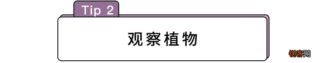 辨别方向的方法 路痴必看