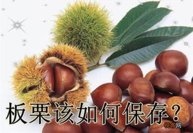 板栗怎么保存不会坏掉 板栗可以放在冰箱吗
