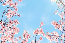 抡组词有哪些 抡组词和拼音