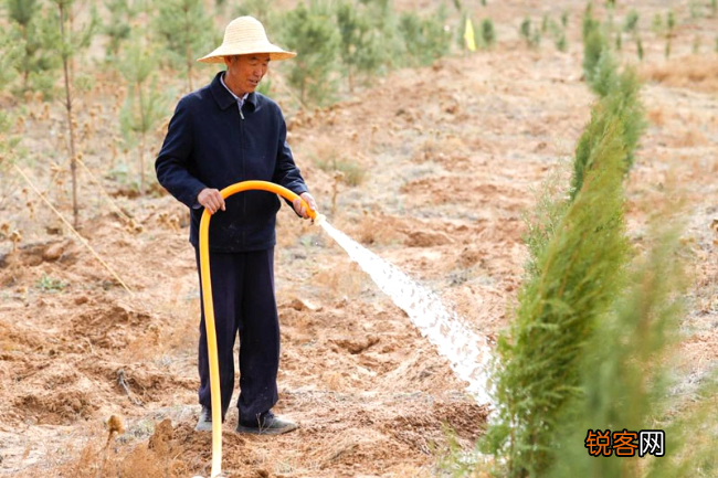 全国劳动模范郭万刚 用汗水筑起绿色丰碑