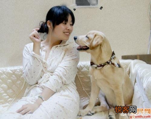 博美狗下崽为什么吃小崽？