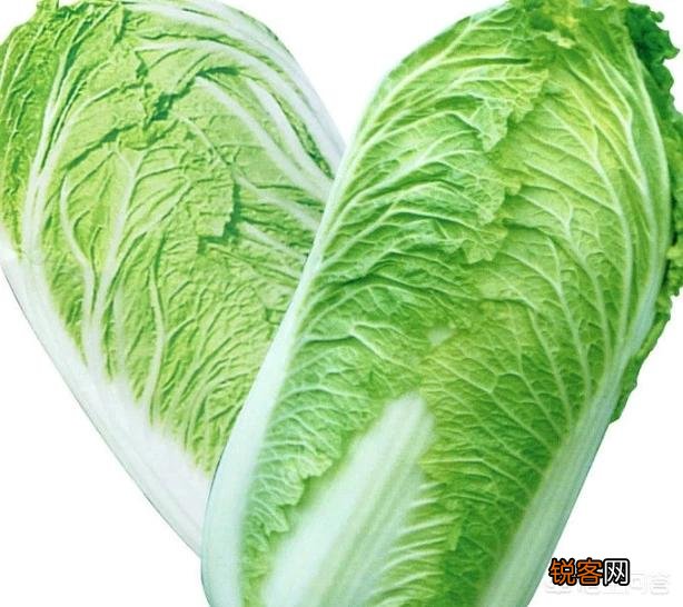 历史上产自我国本土的蔬菜有哪些？