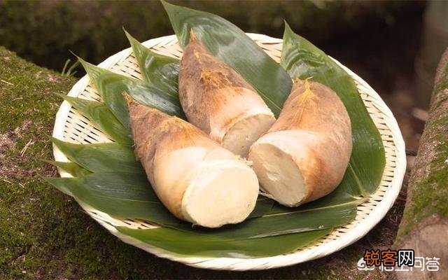 历史上产自我国本土的蔬菜有哪些？