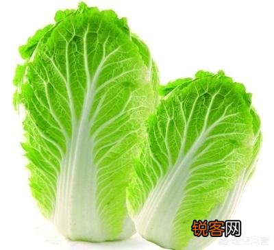 历史上产自我国本土的蔬菜有哪些？