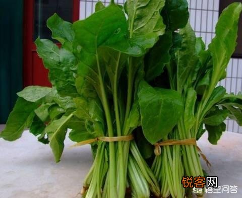 历史上产自我国本土的蔬菜有哪些？