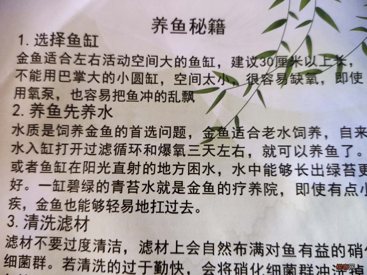 养鱼秘籍 适合新手的养鱼技术