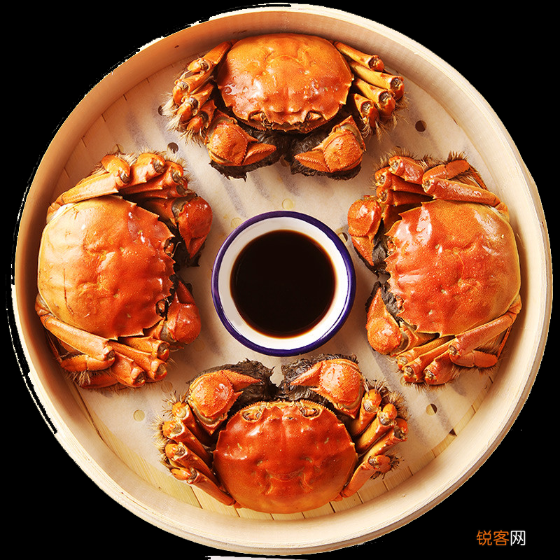 好吃的大闸蟹品种盘点中国的12种名蟹