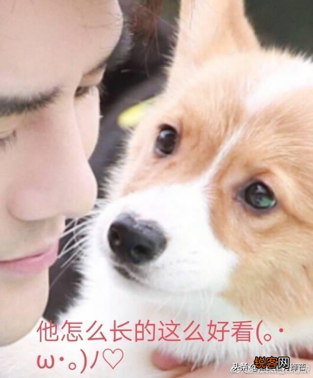 中国男演员里谁的台词声音最好听,让你百听不厌？