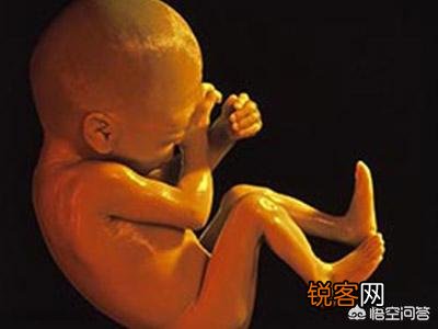 婴儿没出世在妈妈肚子时候吃什么？