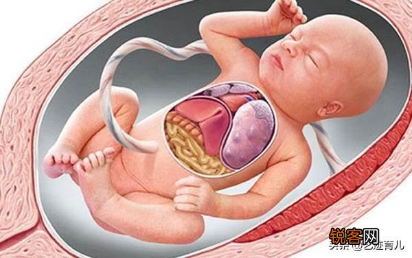 婴儿没出世在妈妈肚子时候吃什么？